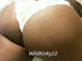 WildKinky22