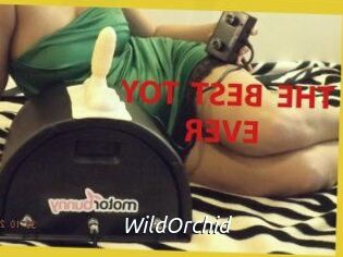 WildOrchid_