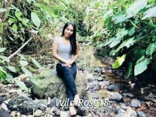 Wild_Rose18
