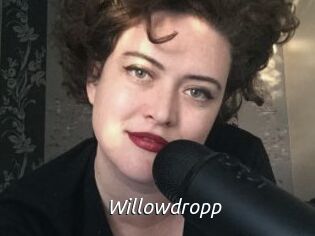 Willowdropp