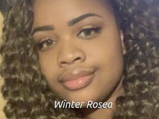 Winter_Rosea