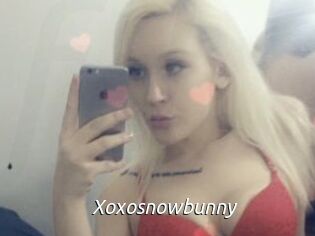 Xoxosnowbunny