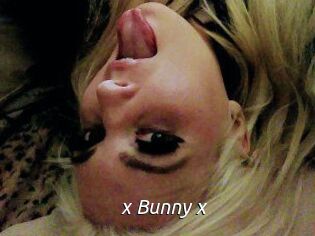 _x_Bunny_x_
