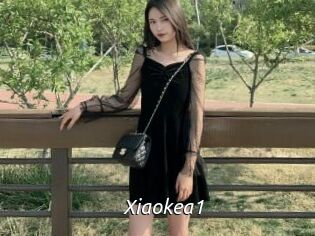 Xiaokea1