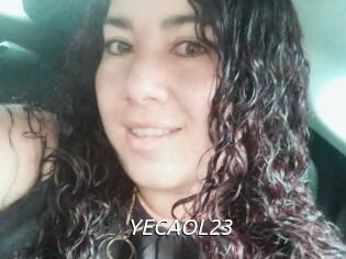 YECAOL23