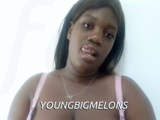 YOUNGBIGMELONS