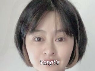 YangYe Fan Domination