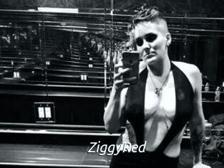 ZiggyRed