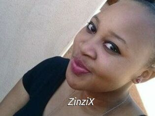 ZinziX