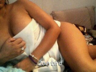 Zoeybird